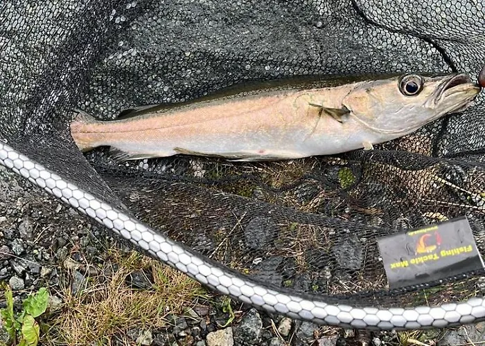 Casa vacanze Gunnarhytta, Valevåg