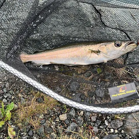 Semesterbostad Gunnarhytta, Valevåg